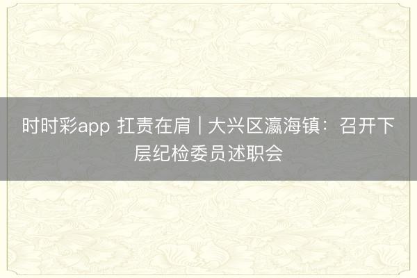 時時彩app 扛責在肩 | 大興區瀛海鎮：召開下層紀檢委員述職會