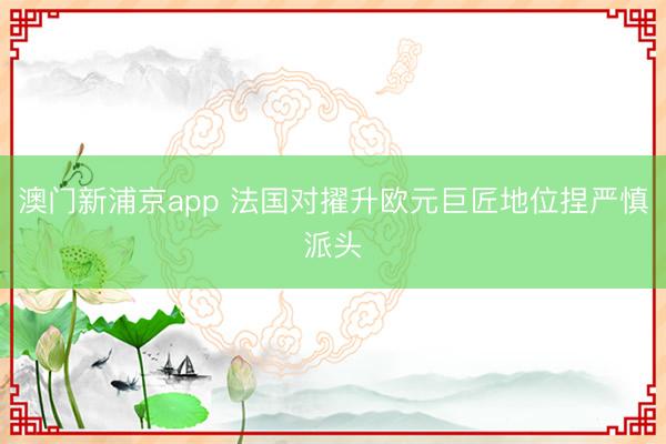 澳門新浦京app 法國對擢升歐元巨匠地位捏嚴慎派頭