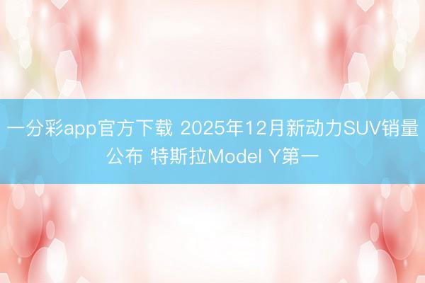 一分彩app官方下載 2025年12月新動力SUV銷量公布 特斯拉Model Y第一