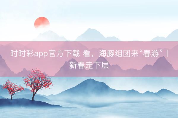 時時彩app官方下載 看,海豚組團來“春游”丨新春走下層