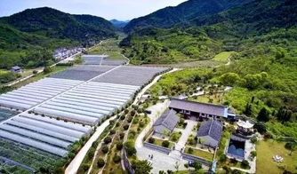 上虞五處田園榮登浙江最美榜單，鄉(xiāng)村旅游線路煥發(fā)新魅力